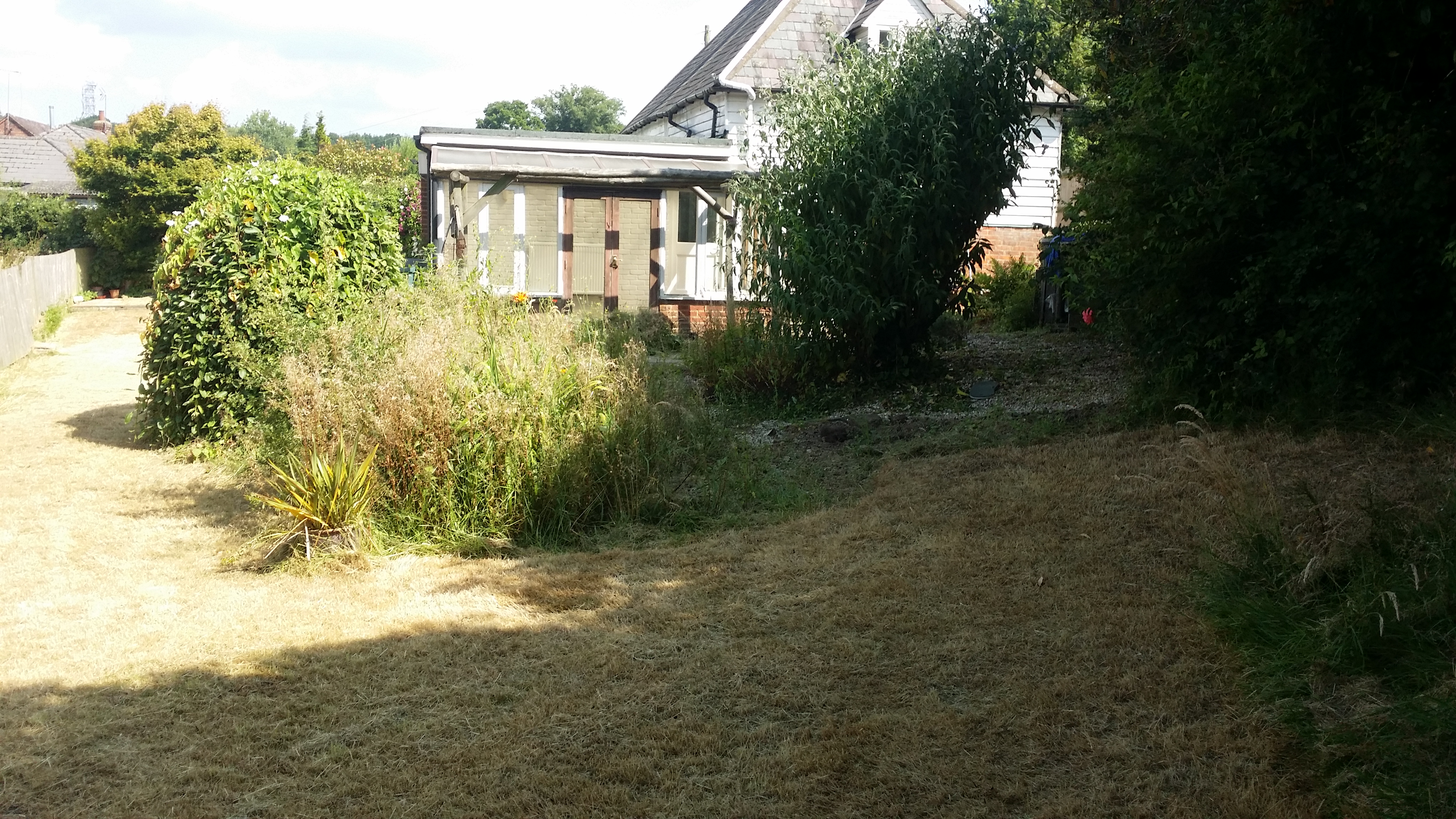 weeding needed